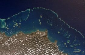 Australia’s Great Barrier Reef Suffers Record Bleaching Impact